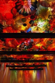 Persian Ceiling - Chihuly