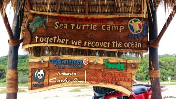 Sea Turtle Camp Vive Mar, Playa Bacocho, Puerto Escondido, Mexico